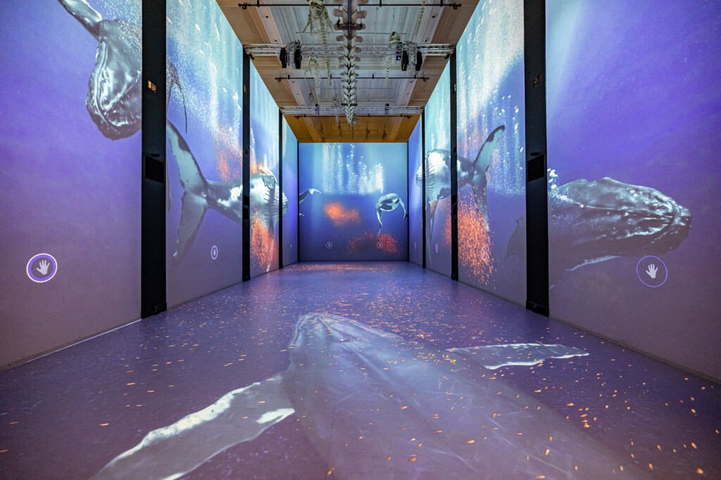 Mission Polaire, Musée océanographique de Monaco – effets visuels 3D, espace immersif du pôle Nord au pôle Sud (vue 2)