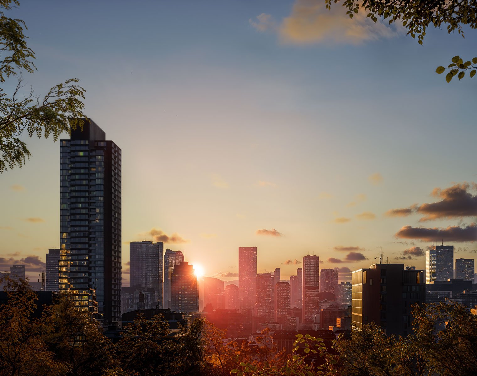 Reveal Citroën ELO – environnement 3D, zone périurbaine (vue 3)
